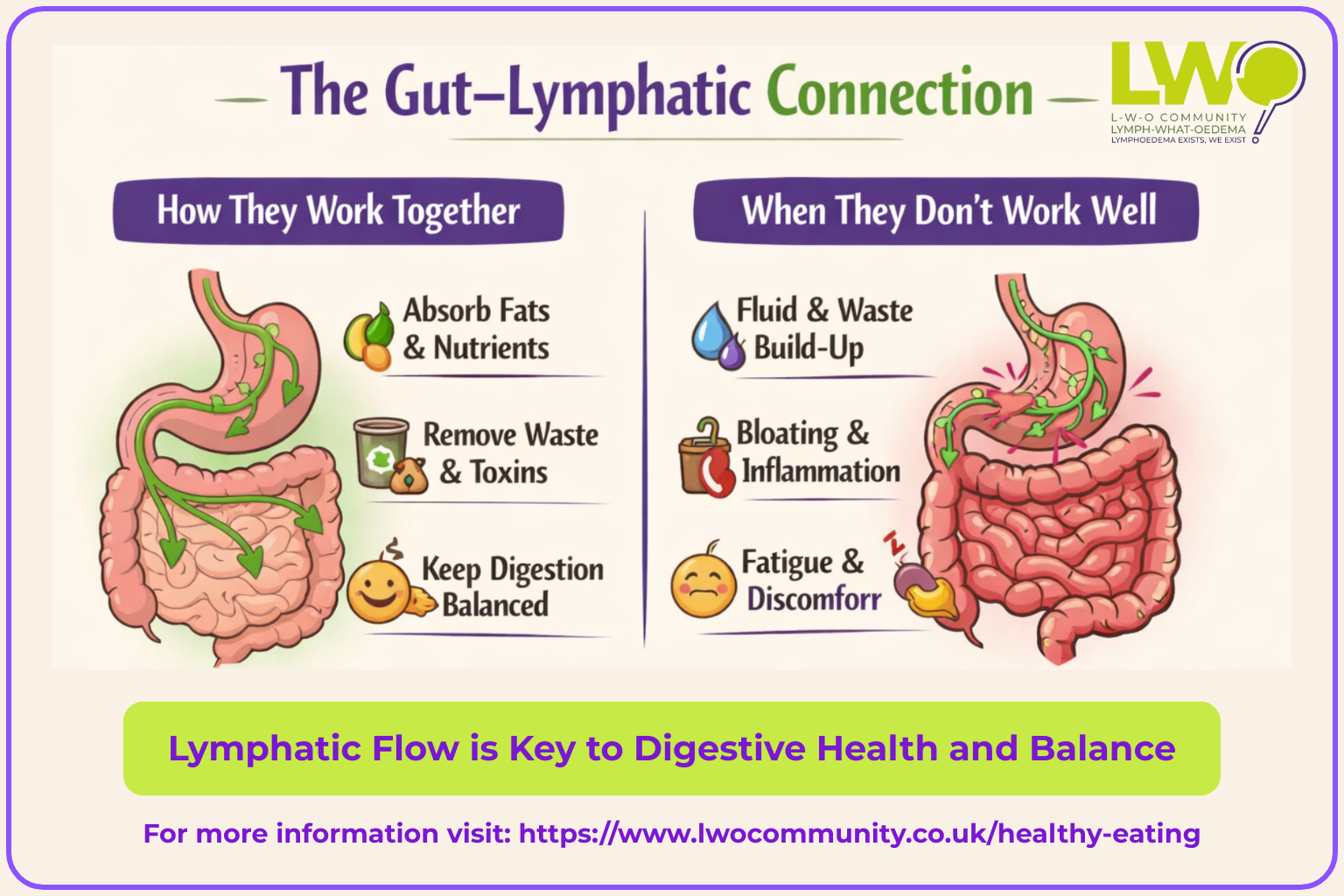 the gut connection low potassium